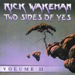 Two Sides of Yes - Volume II